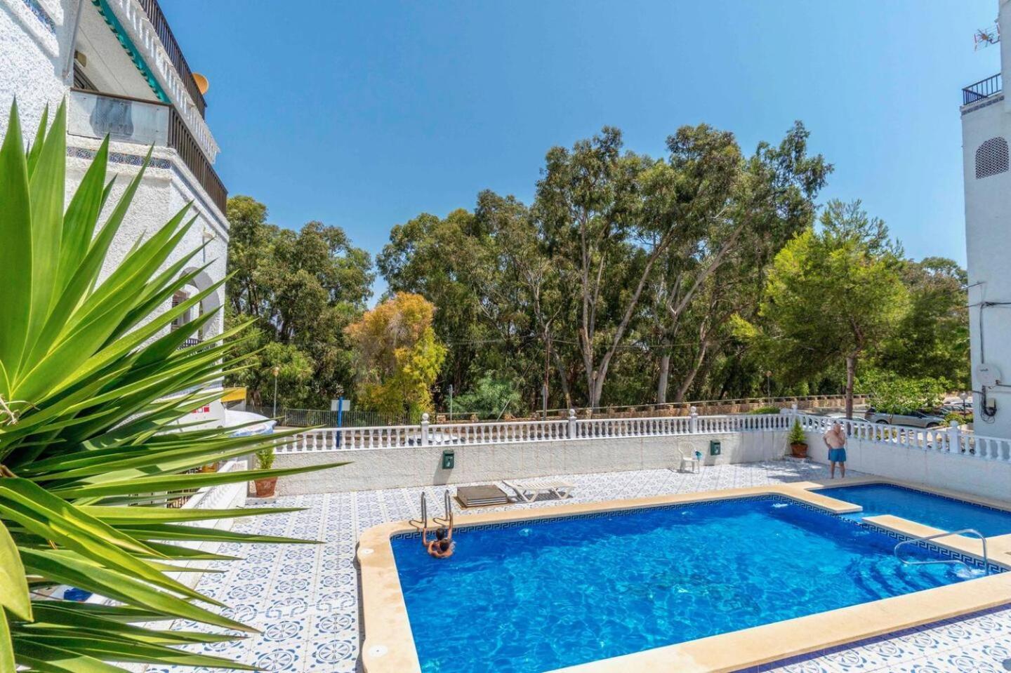 Playa Flamenca Splendid Apartment On The Beach Alicante Exteriör bild